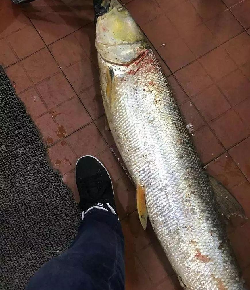 Сһ㣡㣬𳤽ˮ֮ѣû