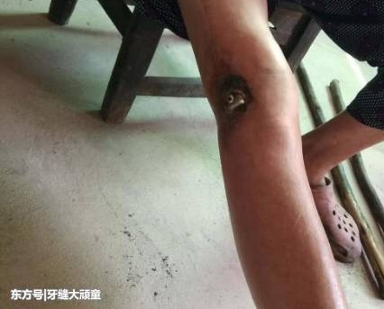 23ǰʮ꺢Ӿ־Ը̽丸ĸ