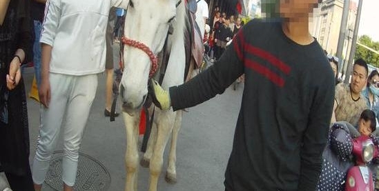 �Ϻ���Ů��ͷ�������ں󣬳ɶ�����Ⱥ���񱼣���Щ������·�Ĺ���