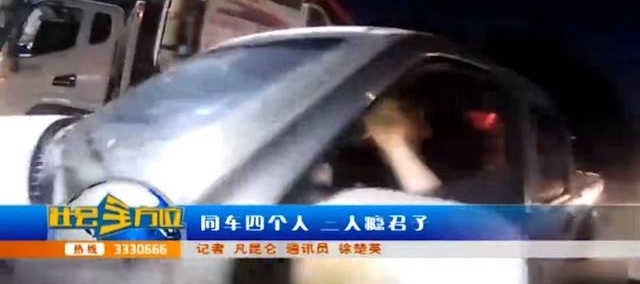 ͬ���ĸ��� ��������