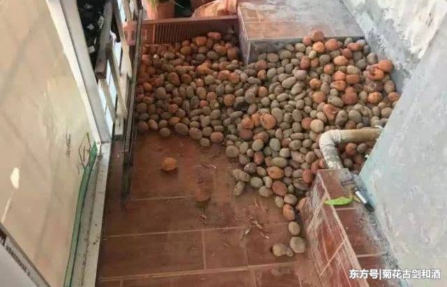 76Ůڷÿͳײˣ˵ԭĿɿڴ