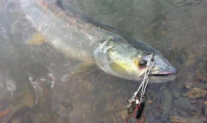 Сһ㣡㣬𳤽ˮ֮ѣû