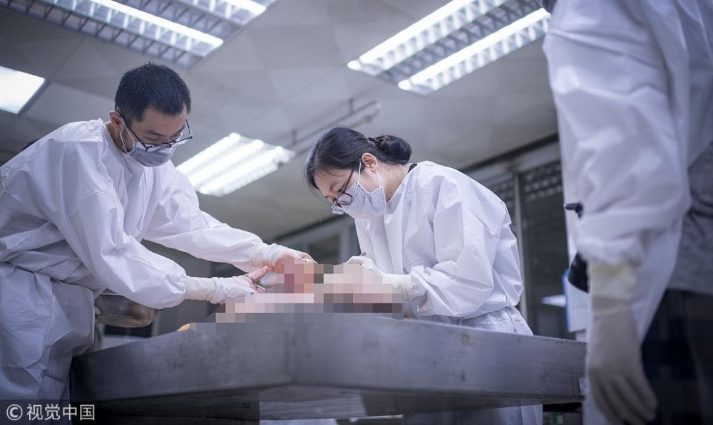 ������ǧ��ʬ��Ů��ҽ��������������