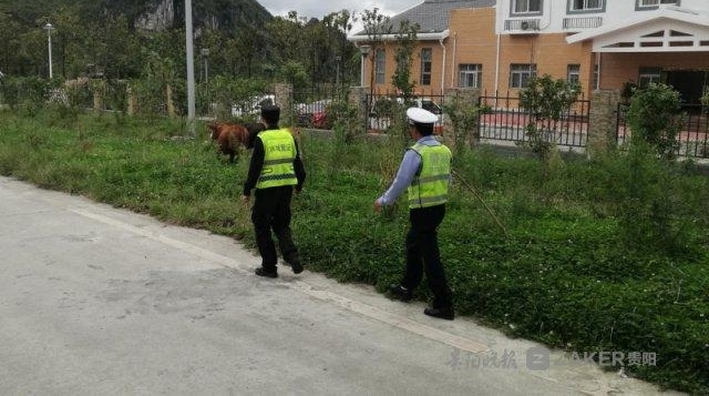 Σ�գ�ţȺ������ٹ�·ɢ�� �������� 5 ����Ž�������