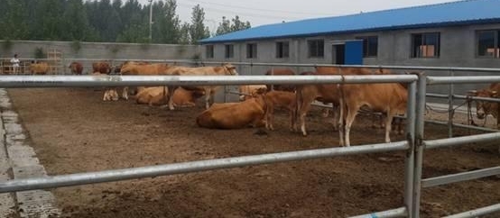 ǼһڹѧĲʿȻصϼţ