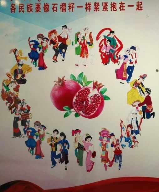 ƺˮãܹ𣡡ԥ顱ϵڹ