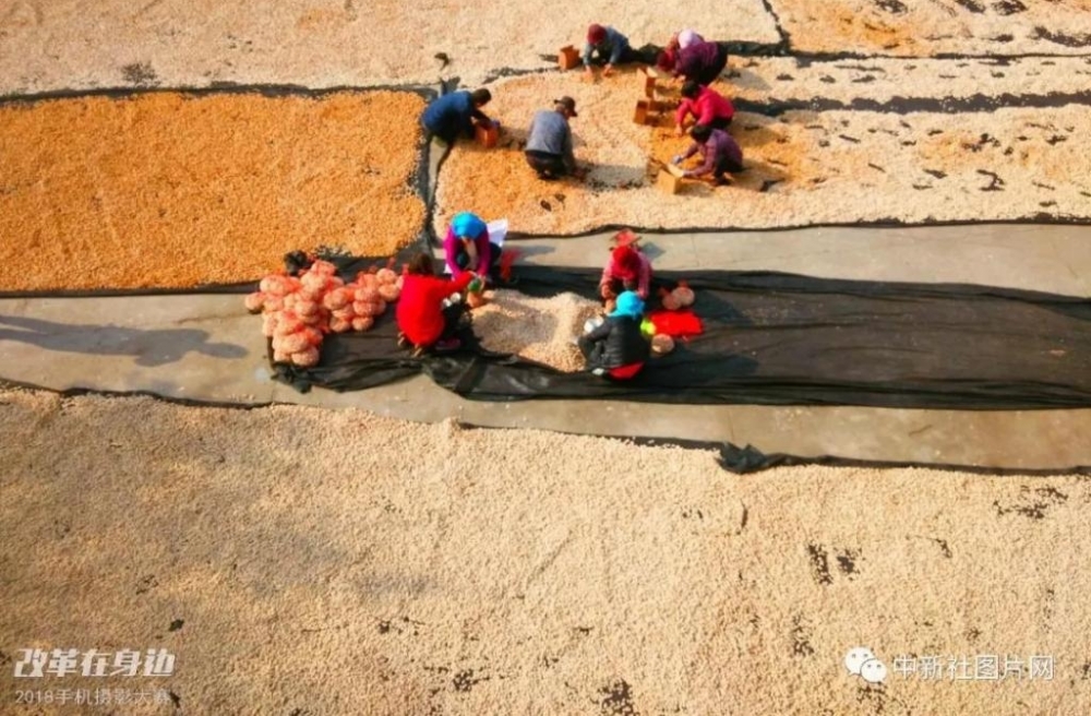 �ĸ￪������2018�ֻ���Ӱ�����������ܽ���¯��