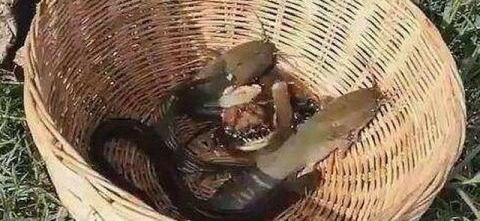 ���ӳ������Ϻ�ѹ�Ƥ������ǩ���˸����ӽ����� �ڶ����ջ��˾�ϲ