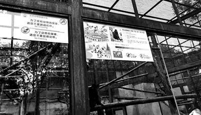 ǹܶ԰ִ ȰͶιûʳƷ