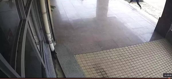 ����3���ӣ����ӳֵ���ס���Ӿ�����Σ��ʱ�̷���˵��һ��������