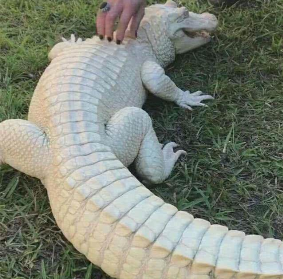 ŮӸ, 1ò, ŮȴôҲ˲