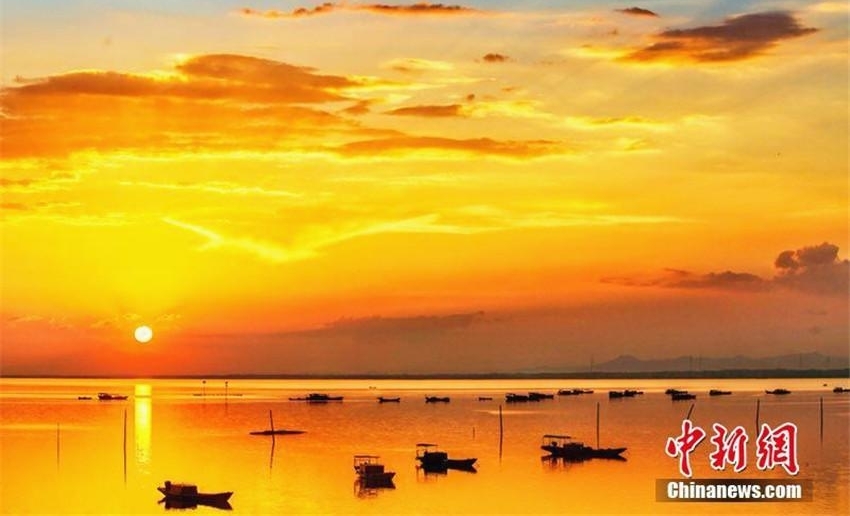 �й����ˮ��۶������Ѥ����ϼ��������ͼ��