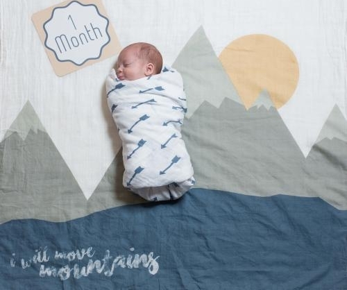 տģLulujo Baby조Ȥȡд