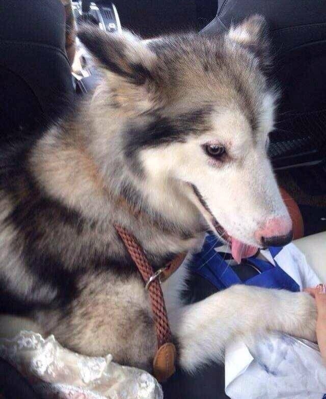 εƴƴ󹷣˾Ů˿һ·꣡