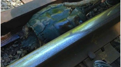 Ϸ֡ʯͷǰϸ󣬲֪ˣ