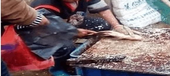 8ǰߺ, 8ȴũҩɱ, ɱܡ׾ʲô?