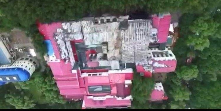 ������ʧ��Ƶ��ӷ����Ľ㡱��ץ ������29�ҹ�˾