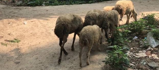 ũ83һǮȴ˵꣬ô֧ˣ