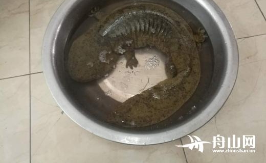 ĸ;һһ׶೤㡡˳Ԫؿ;