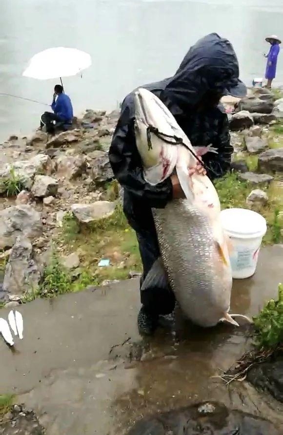 Сһ㣡㣬𳤽ˮ֮ѣû