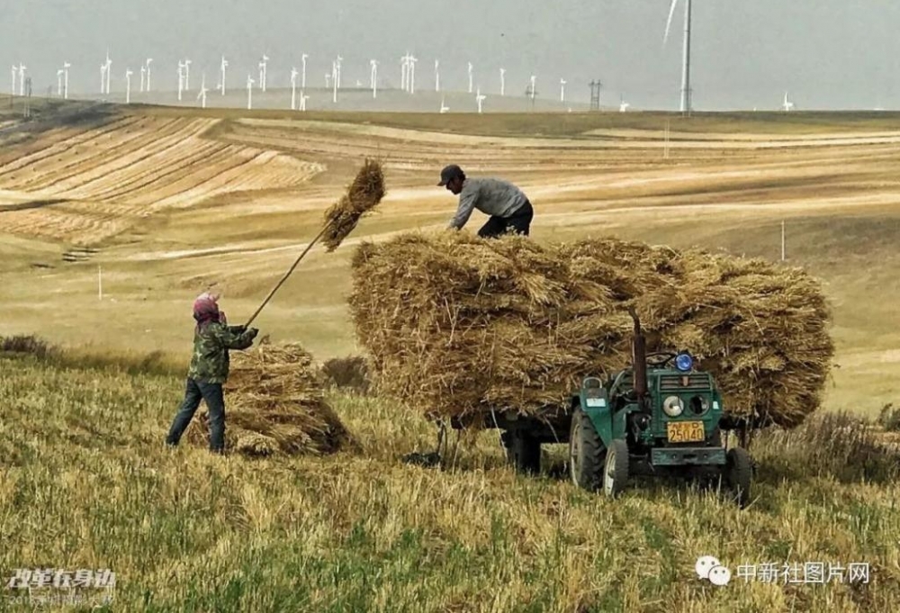 �ĸ￪������2018�ֻ���Ӱ�����������ܽ���¯��