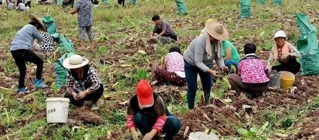 ũ壬ΪʲôǰŰأȴ׷˰