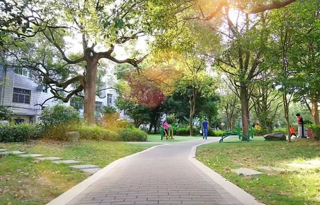 ѧҵΪʲôҪƽΪҪСң