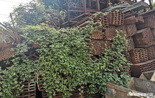 395�ֲָĽ�4�����ûأ������ѳɷϸ֣�ԭ���ǡ���