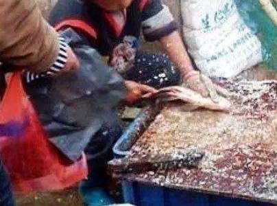 ý壺조ɱܡӳ˼ͥʹ