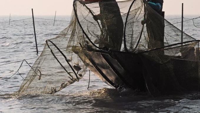 ����һ���޶�ͥ�����㱻ץ���� Ͷ��3��β�����޸���̬