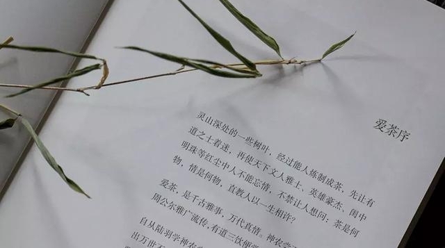 ����������˶ಿ�������Ļ�����������������Եд�¡����衷��