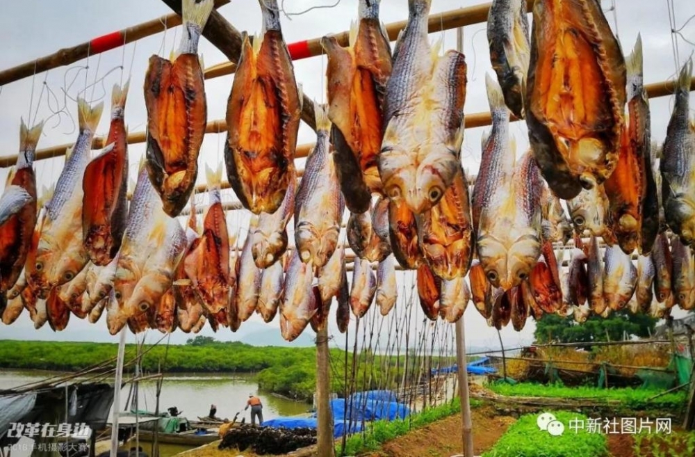 �ĸ￪������2018�ֻ���Ӱ�����������ܽ���¯��