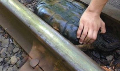 Ϸ֡ʯͷǰϸ󣬲֪ˣ