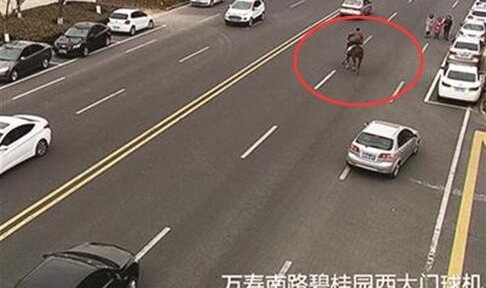 �Ϻ���Ů��ͷ�������ں󣬳ɶ�����Ⱥ���񱼣���Щ������·�Ĺ���