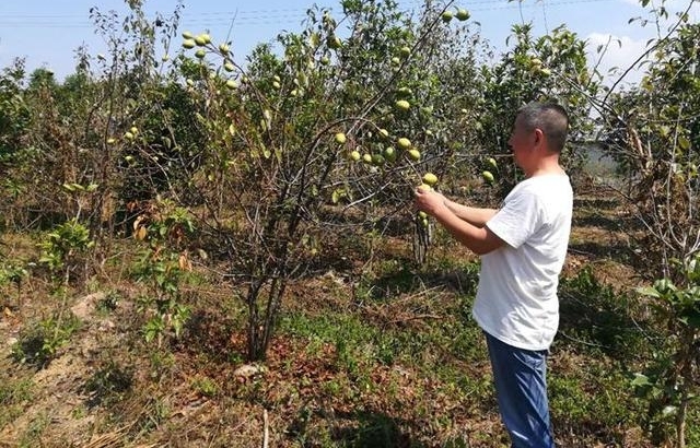 ҵ·ϵһҴϱ ʲôʱʼ