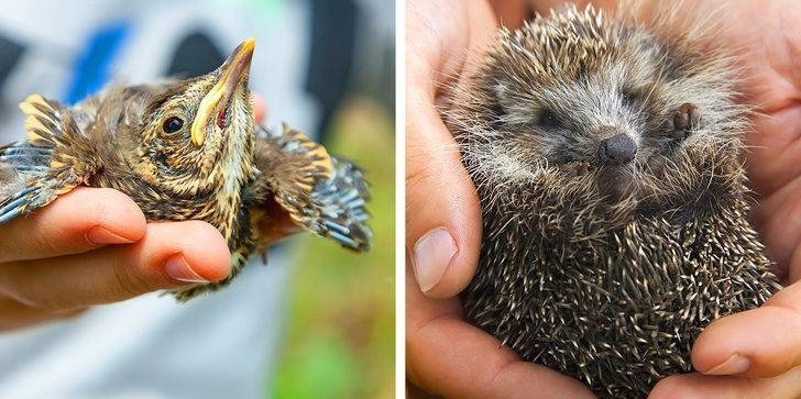 10����·�Ͽ��������Բ�Ҫ�񡱵Ķ�����