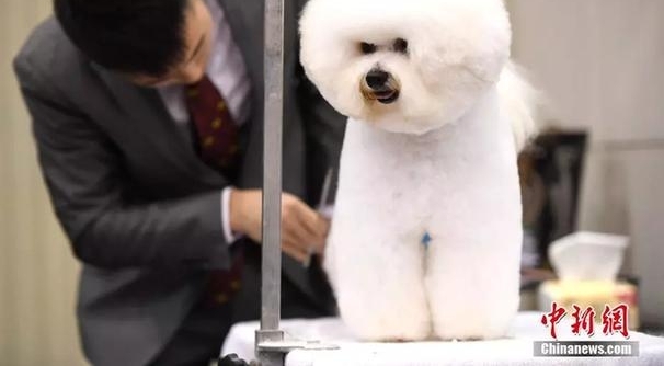 ȼй© ӵ˸롰侲һ¡