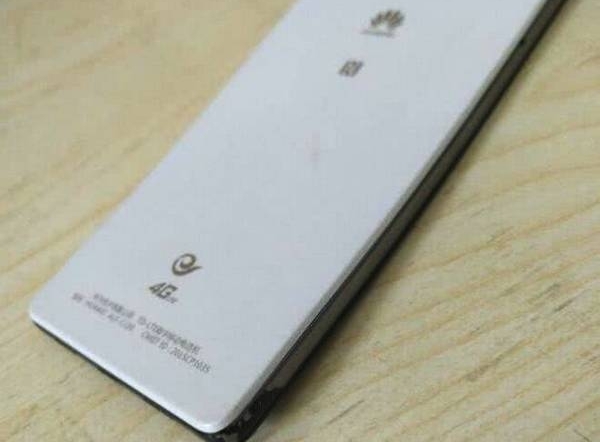 ʵģŮŭˤΪֵֻ֮õޣ