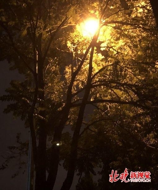 �����ն���������ͬ��ҩ�Ӹ���·�������� ��·��ȱ�𻹹�����