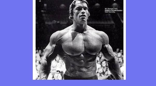 �������ʿֹͣѵ���������ô����