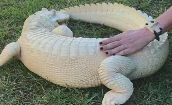 ŮӸ, 1ò, ŮȴôҲ˲