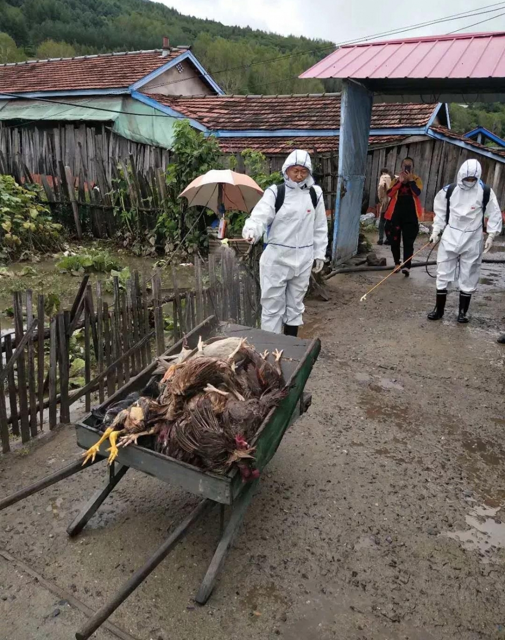 �������Ծȡ��幵���벢�����ÿ����Ծ�