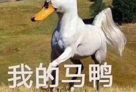 �Զ��������죬����ͷ�������ˣ�