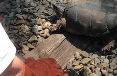 Ϸ֡ʯͷǰϸ󣬲֪ˣ