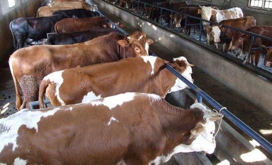 ǼһڹѧĲʿȻصϼţ