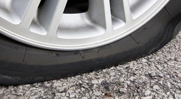 S4���������ˮ���ɢ�� ;��������̥