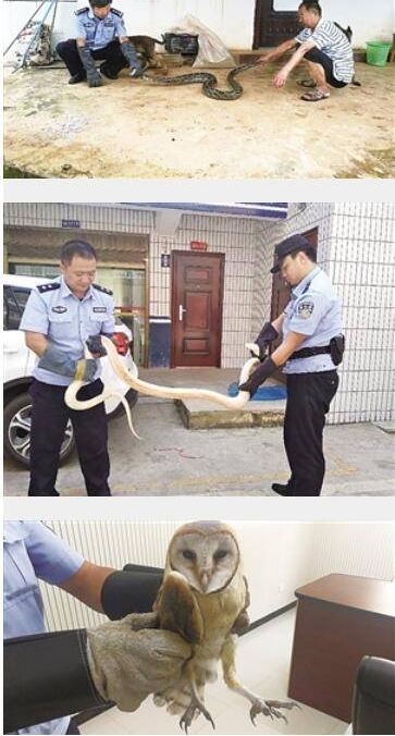 ������8000Ԫ�����ߣ���ȴ˵������õ�Υ���涨��