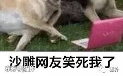 С����Ű쿨��Ů���ѣ�����7����Ȼ����������������������