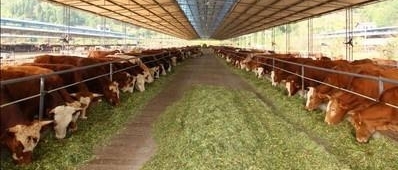 ǼһڹѧĲʿȻصϼţ