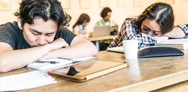 HRֲ᣺ҵԱΪ࣬տͶι